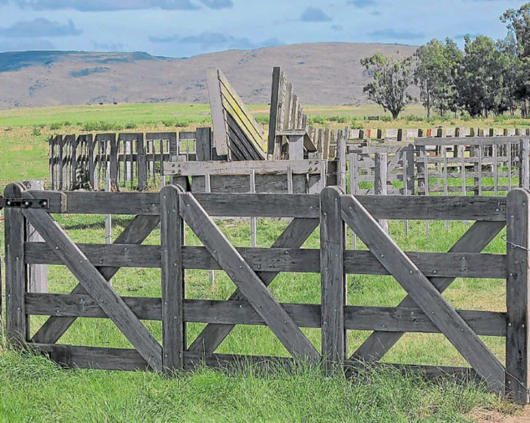 Creamos un centro para resolver conflictos en empresas agropecuarias familiares